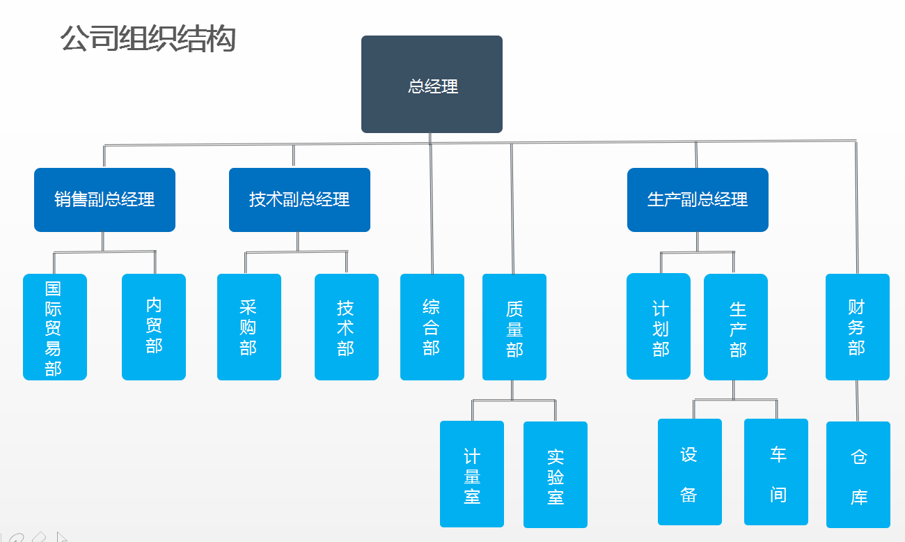雙正回轉(zhuǎn)支承公司組織機構
